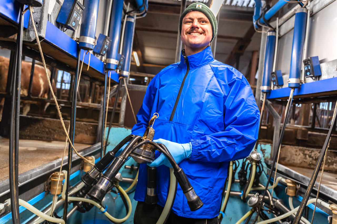 WAHL-Hausmarke Melkerpullover mit Netzgewebe am Rücken