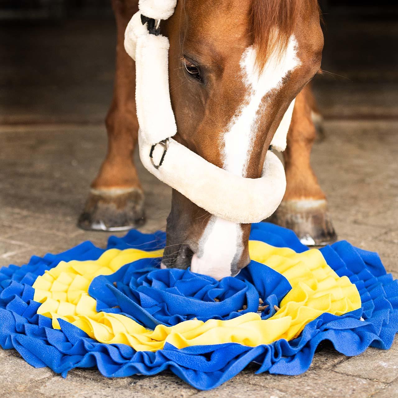 QHP Tappetino sniffer per cavalli