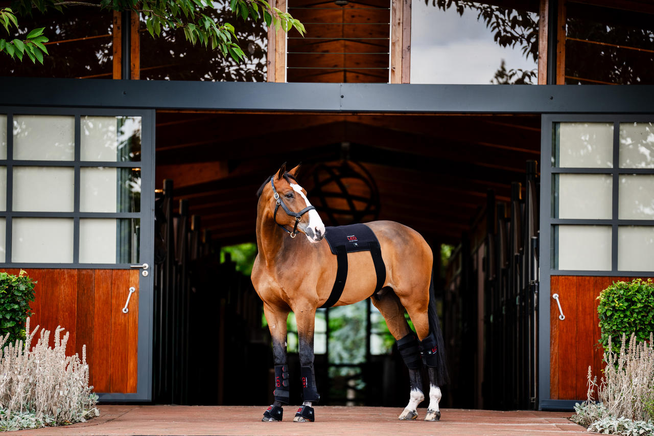 Horseware LED Red Light Therapy Hock Boot