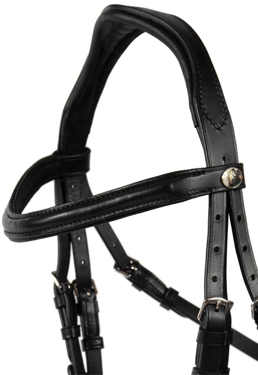 Hans Melzer Snaffle Shetty