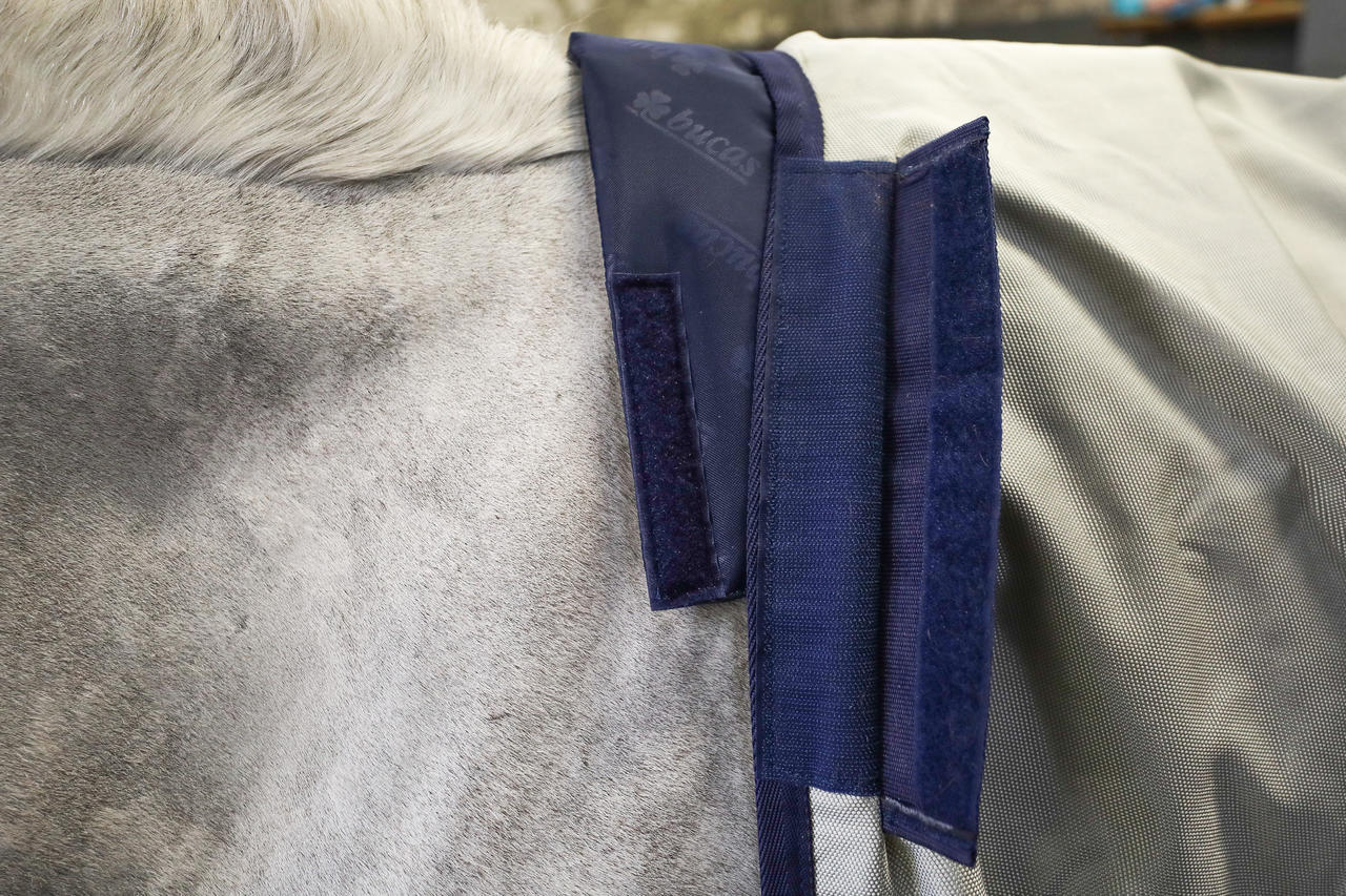 Bucas Wither Pad Protection du garrot
