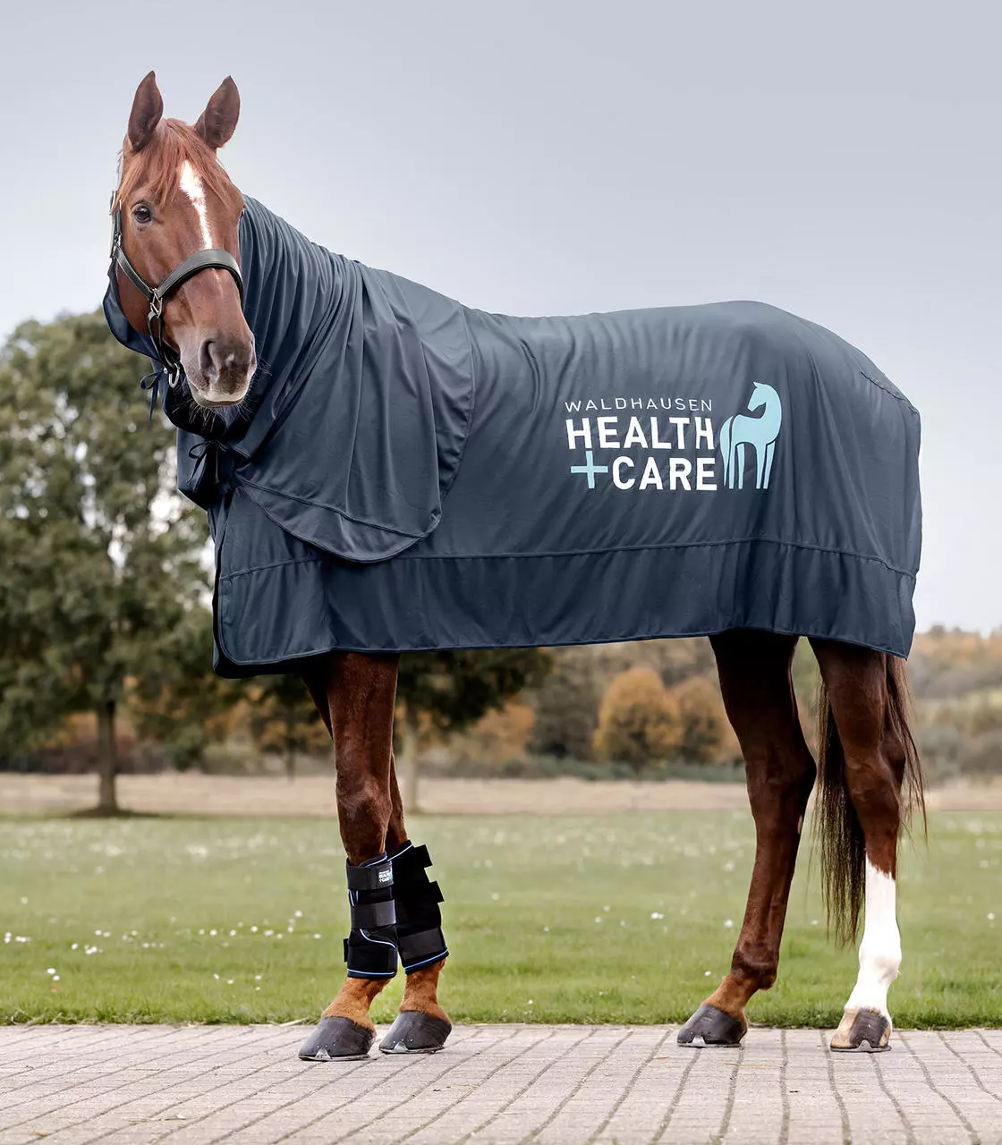 Waldhausen Health + Care Ice Layer Gamasche