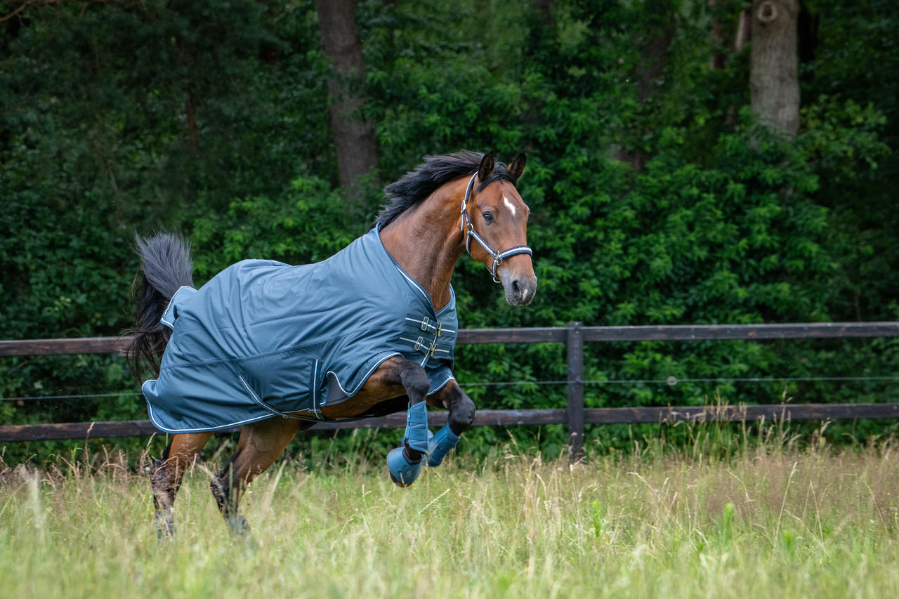 Eskadron Sprungglocken SOFTSLATE