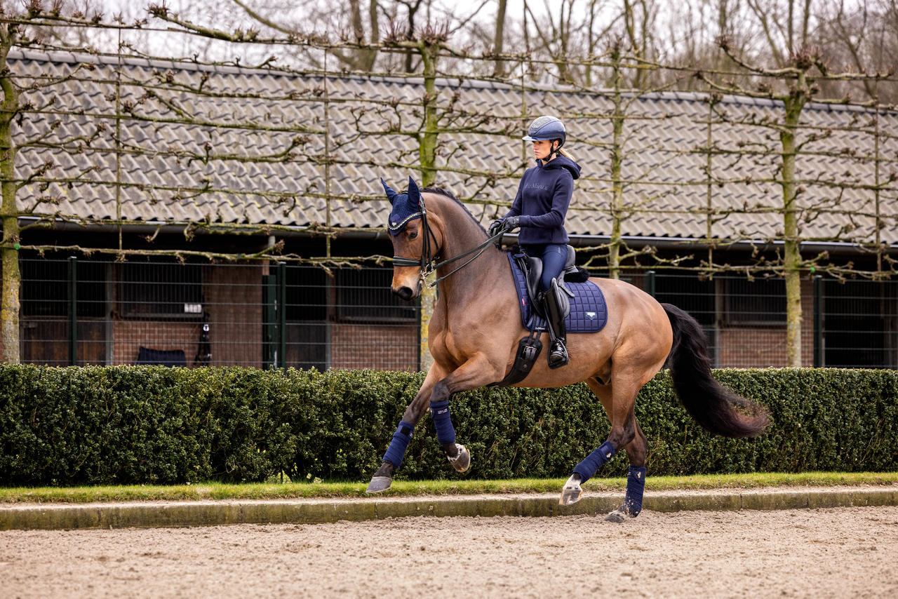 LeMieux Loire Classic Satin Dressage Square