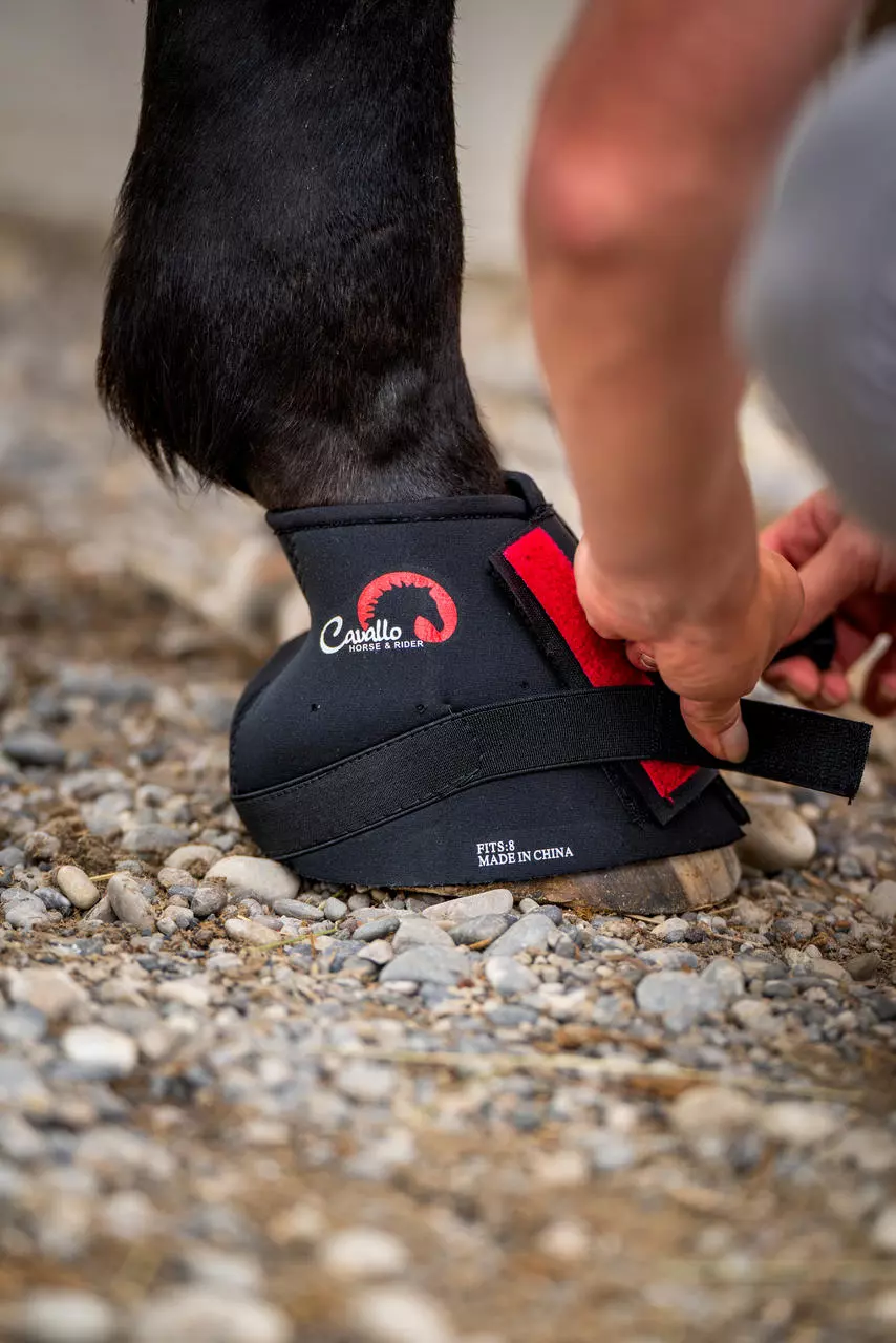 Cavallo Pastern Wrap Bandage Neopren