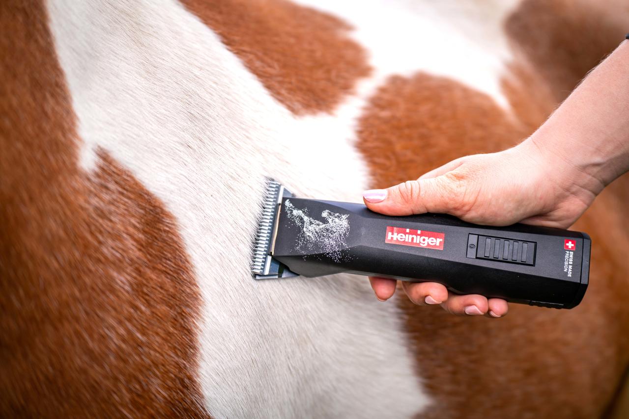 Heiniger SAPHIR HORSE Pferdeschermaschine