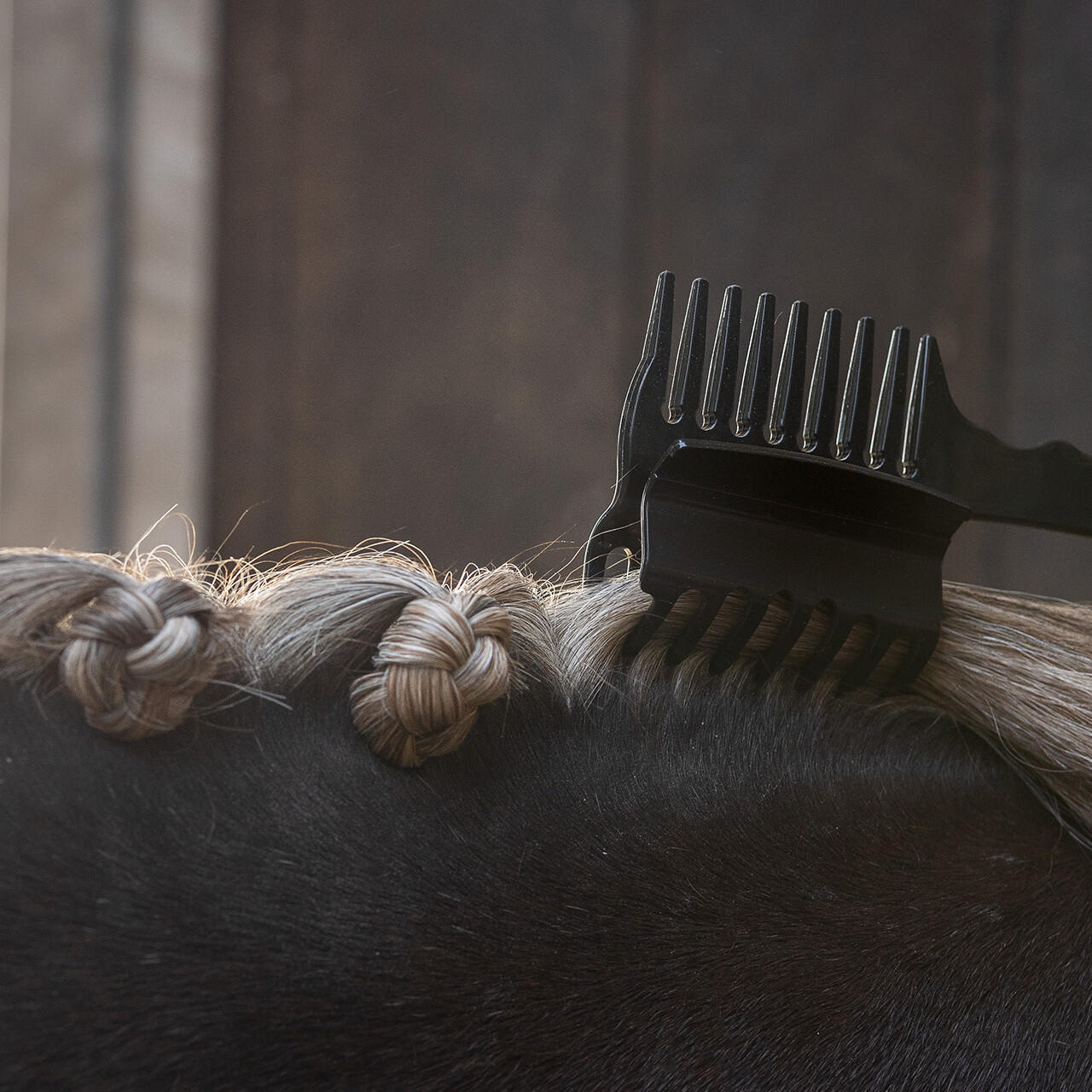 Q-Essentials Pettine per criniera con clip