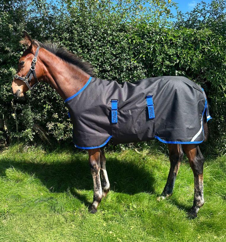 Horseware Amigo Ripstop 900D Foal Turnout 200g 80 cm black/classic blue