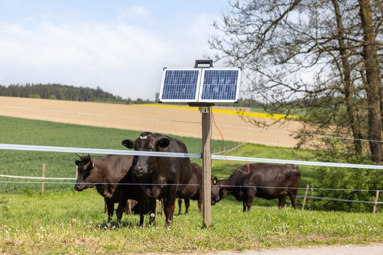 AKO SunPower S2400 Smart