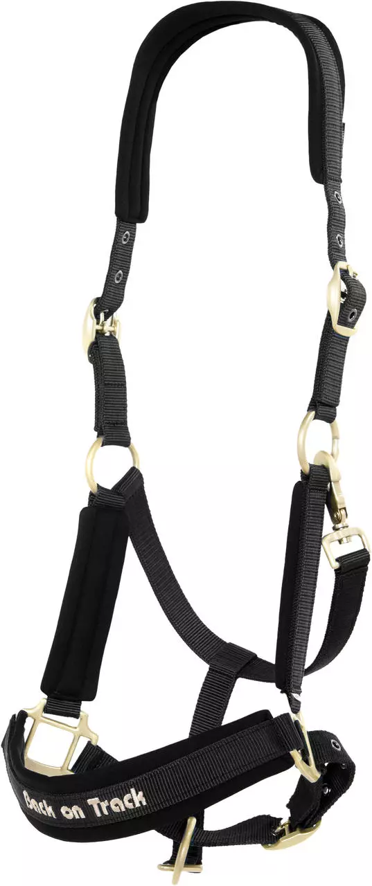 Back on Track Werano Halfter