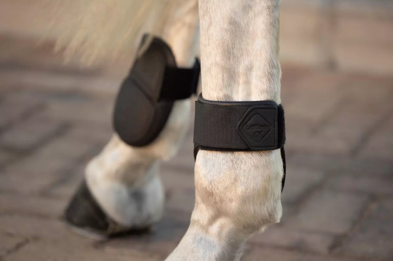 LeMieux Capella Leather Fetlock Boots
