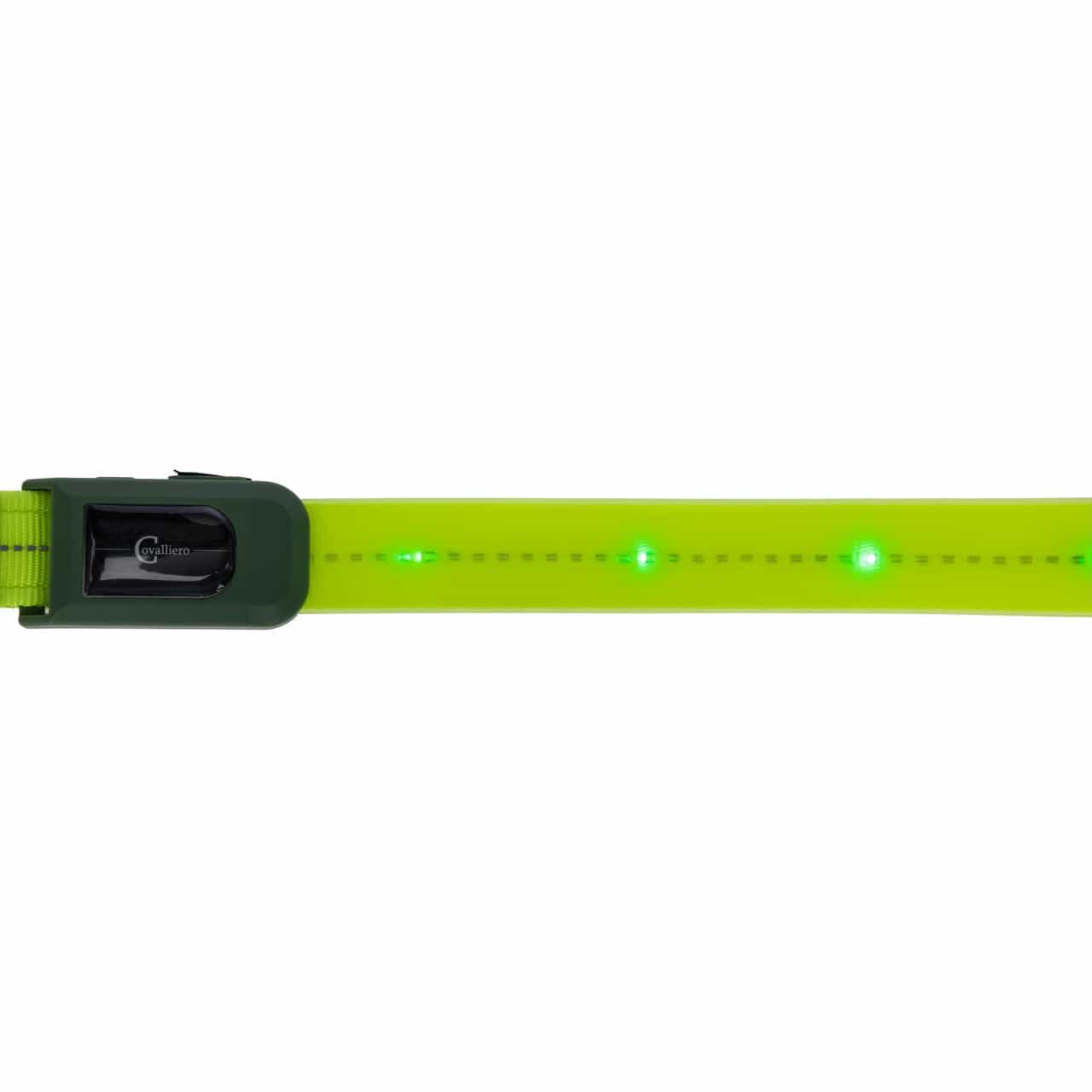 Covalliero Vorderzeug LED