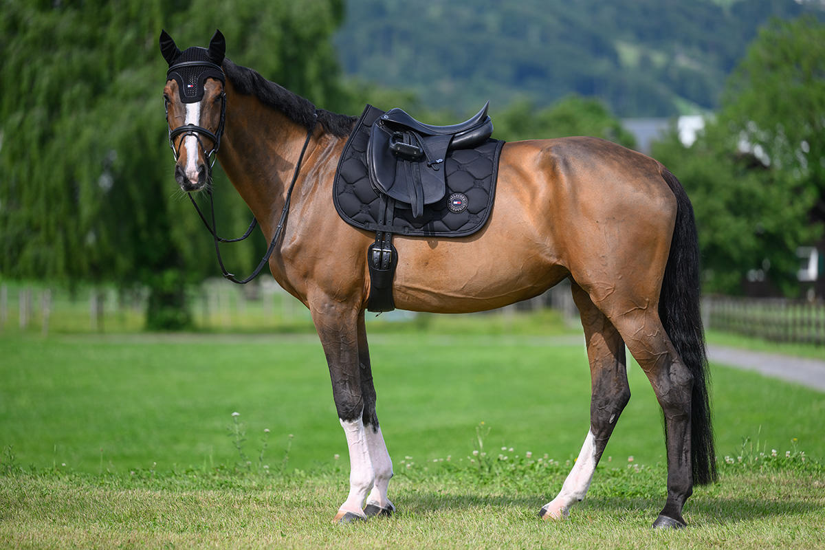 Tommy Hilfiger Tapis de selle de dressage Emory