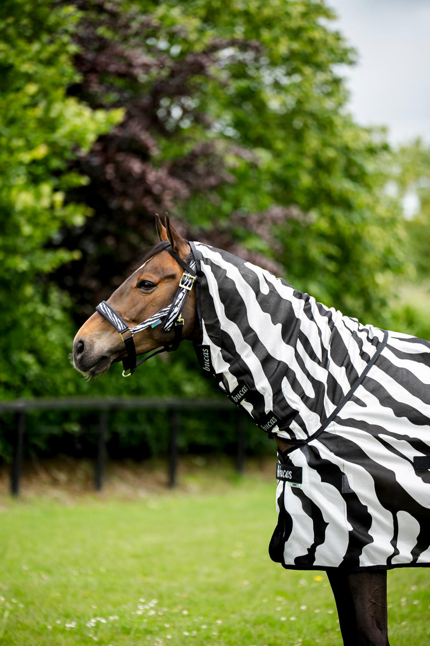 Bucas Buzz-Off Zebra Full Neck