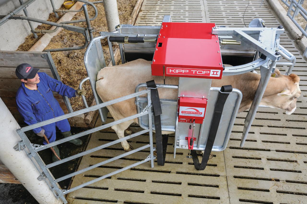 Rosensteiner Klauenpflegestand - KIPP TOP II Comfort
