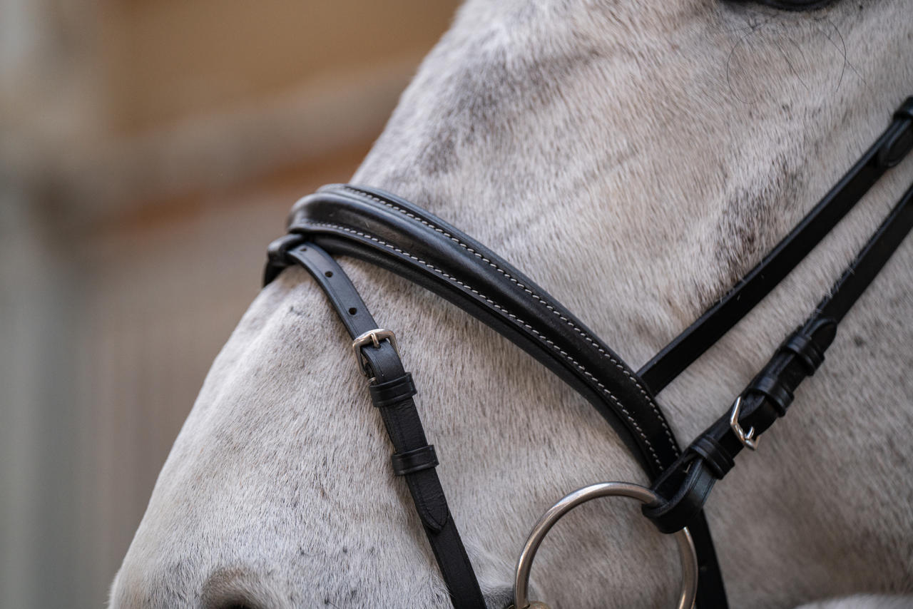 Hans Melzer Snaffle Badminton