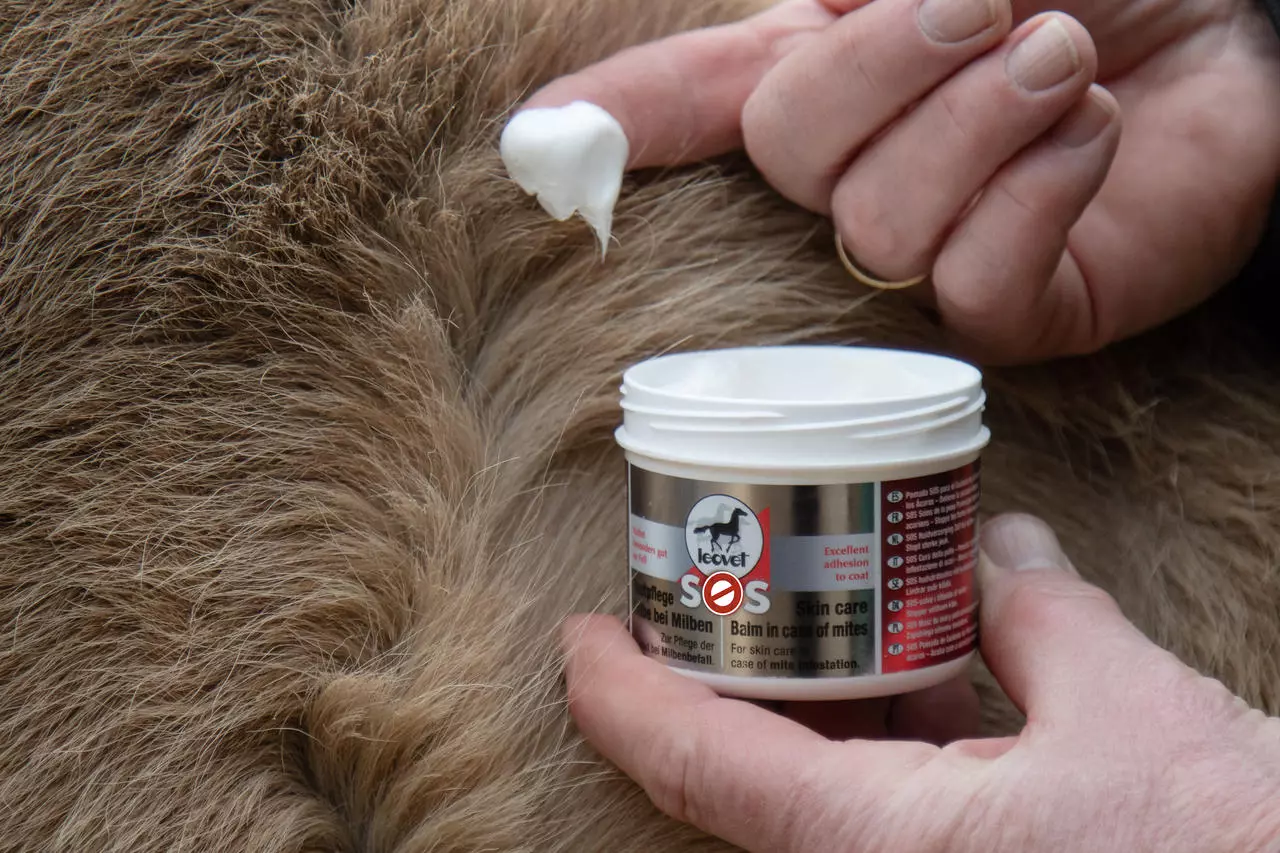 leovet SOS Hautpflege Salbe