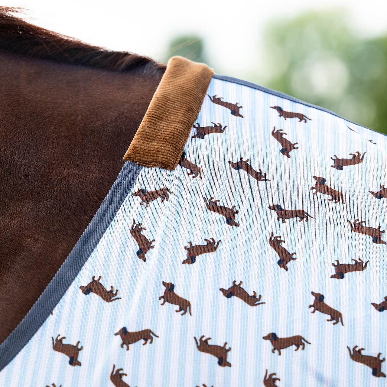 QHP Coperta antimosche Stable Buddy
