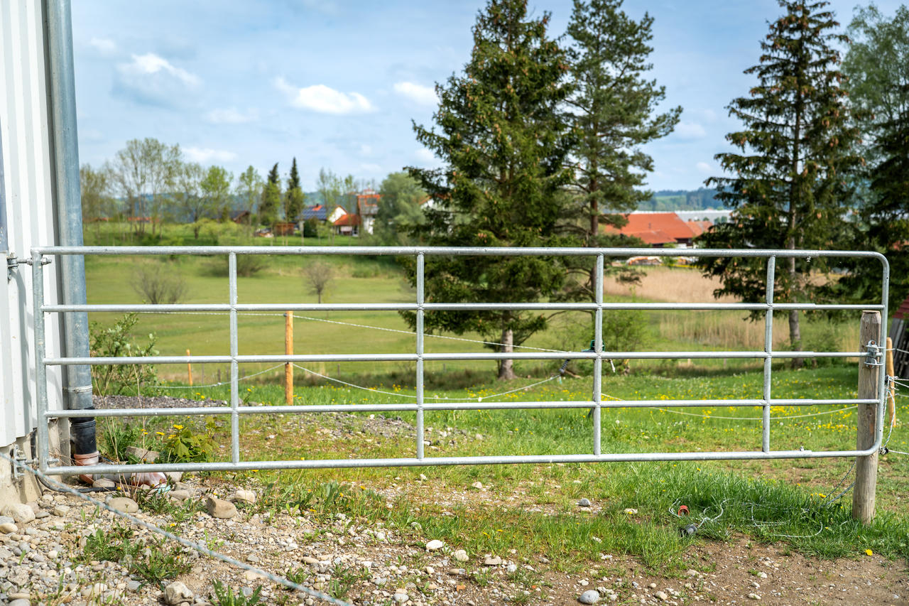 WAHL-FENCE Weidetor verstellbar - Standard - versch. Größen