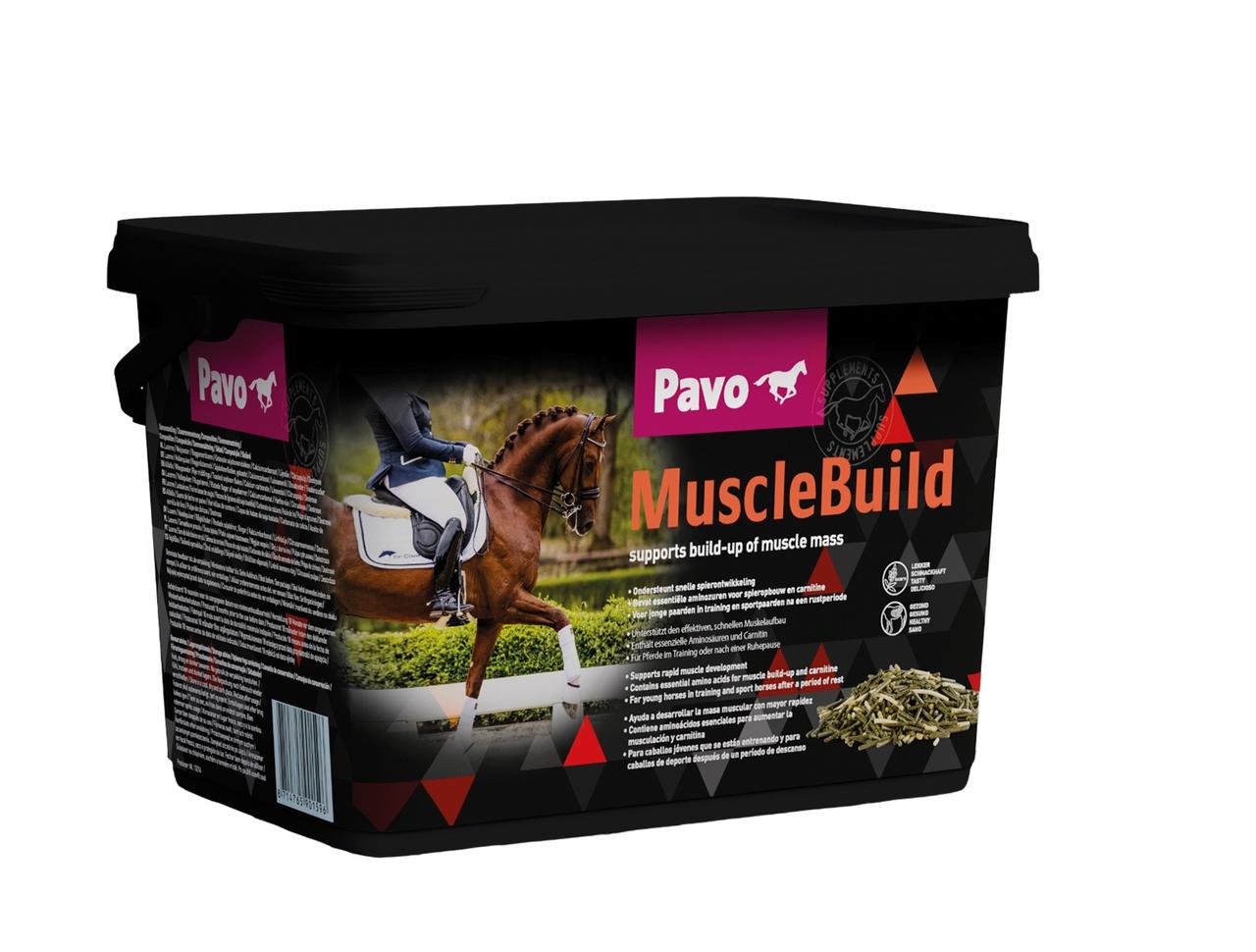 Pavo MuscleBuild Pavo MuscleBuild