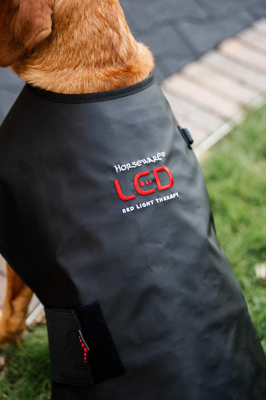 Horseware LED Red Light Therapy Pet Coat