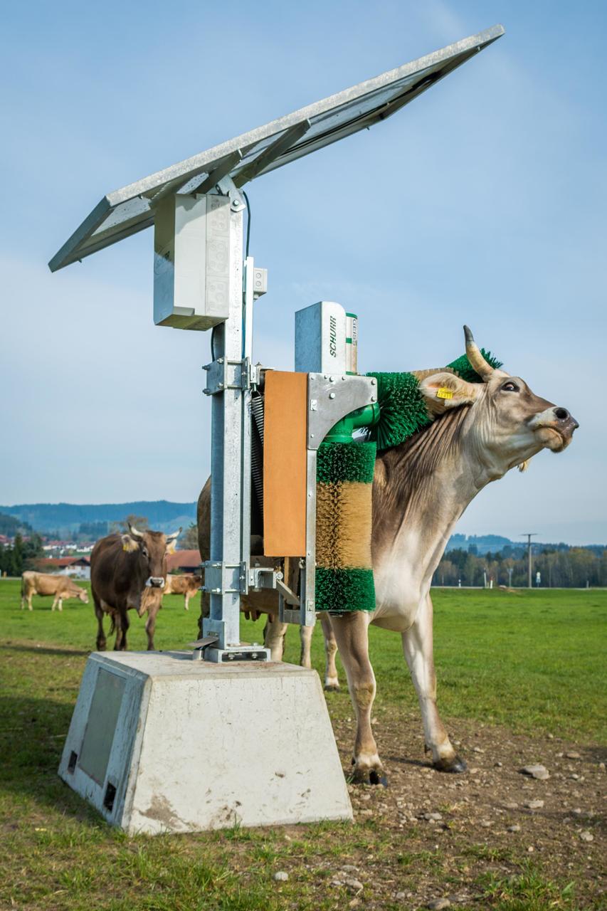 Schurr Kuhbürste PV-Anlage Typ D22