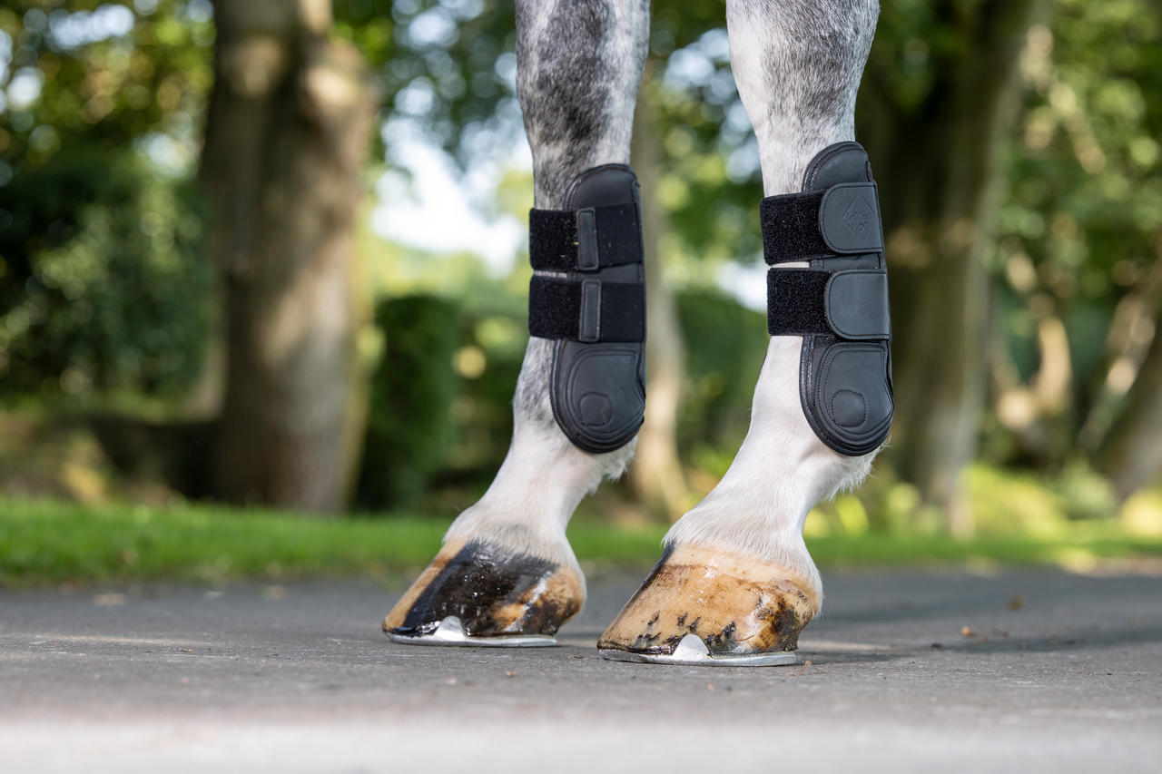 LeMieux Capella Leather Tendon Boots