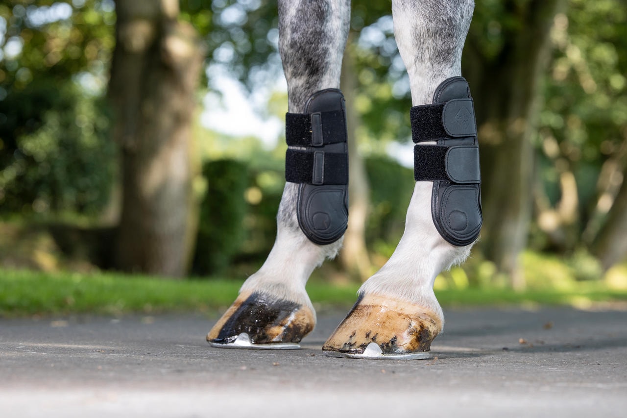 LeMieux Capella Leather Tendon Boots