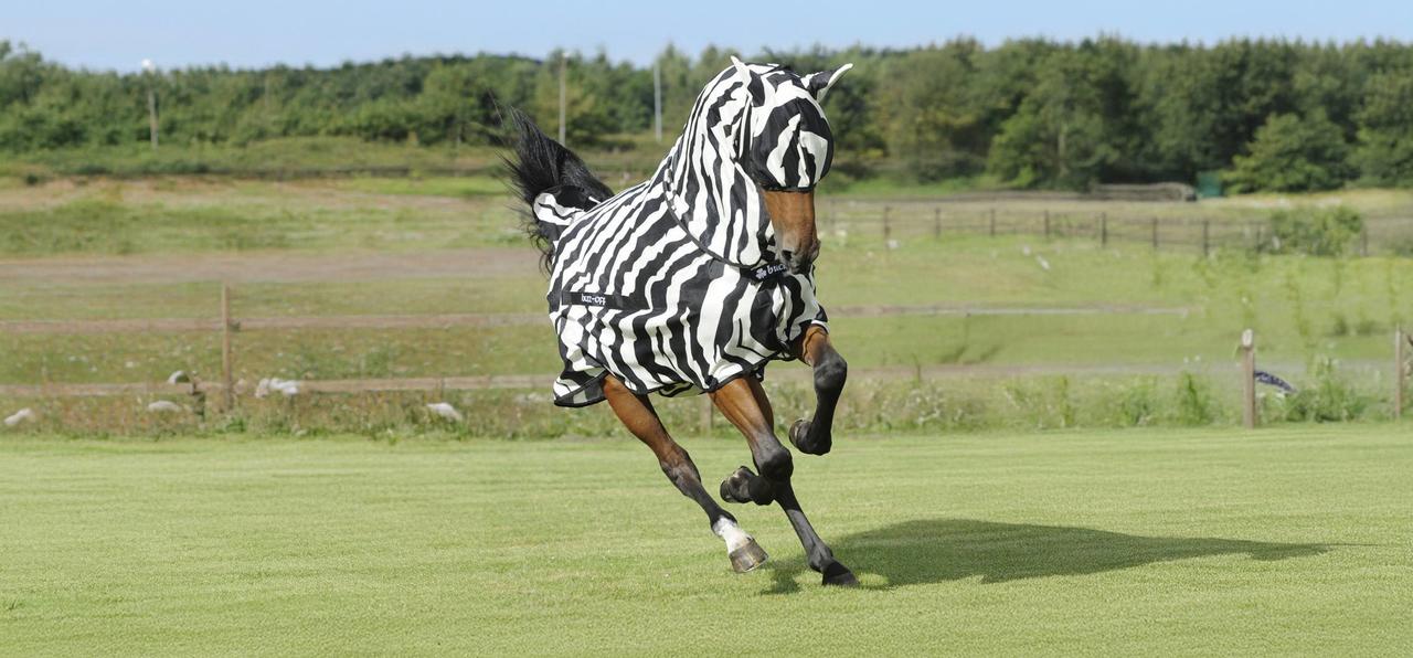 Bucas Buzz-Off Zebra Fliegenmaske