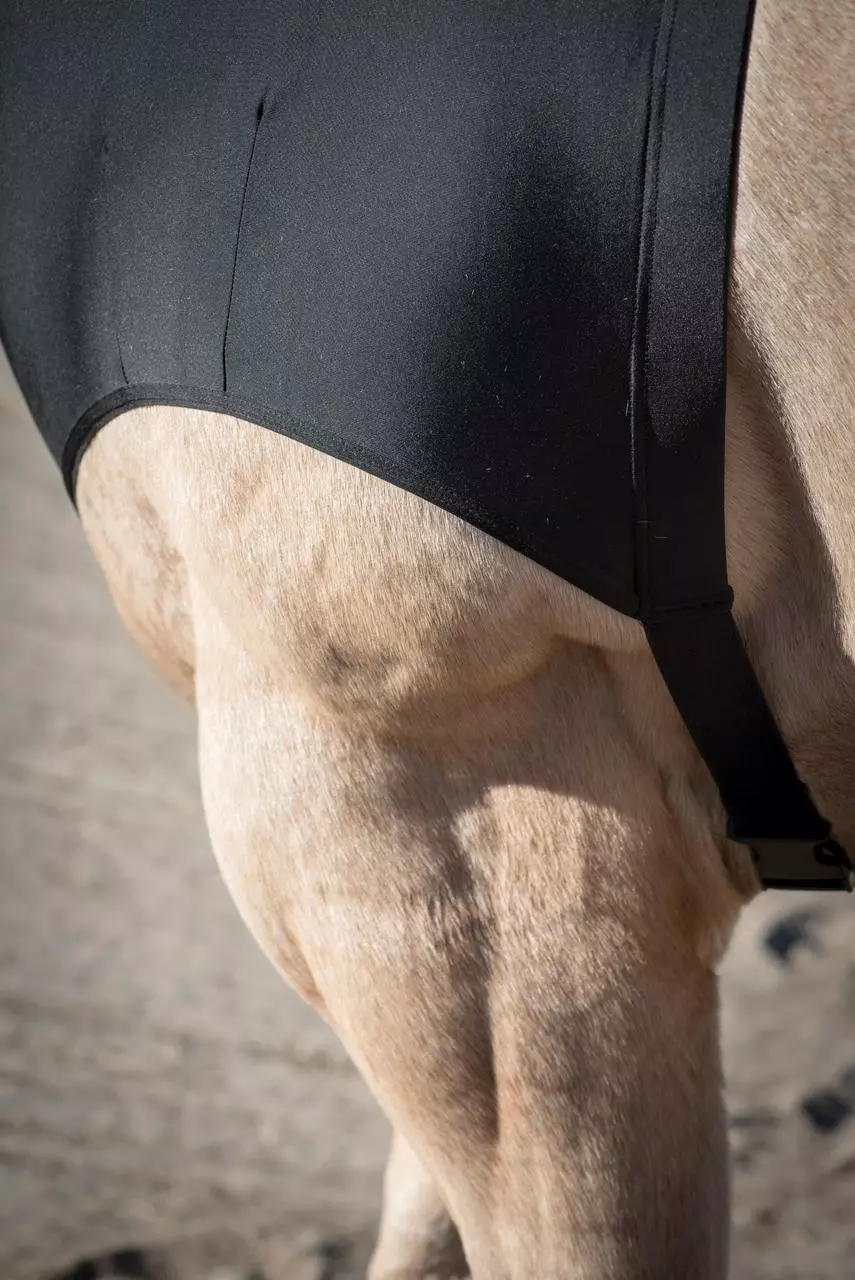 LAMI-CELL Lycra Sleazy