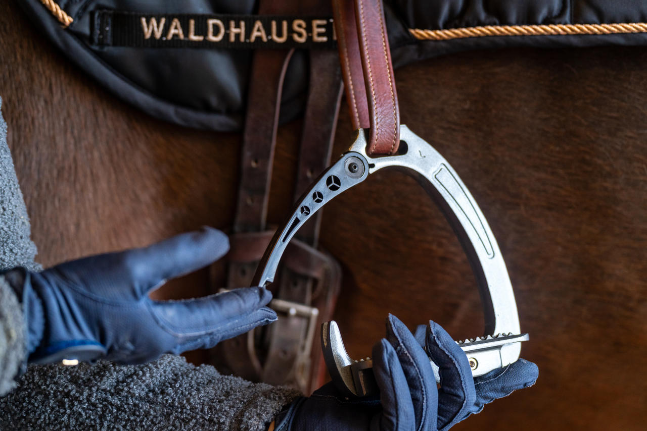 Waldhausen Staffe di sicurezza Pro