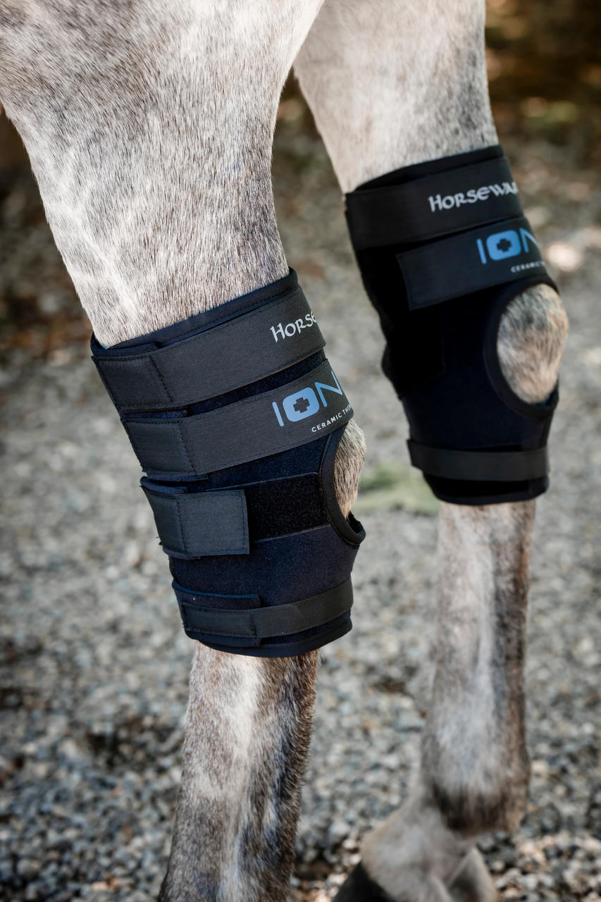 Horseware Ionic Hock Boots