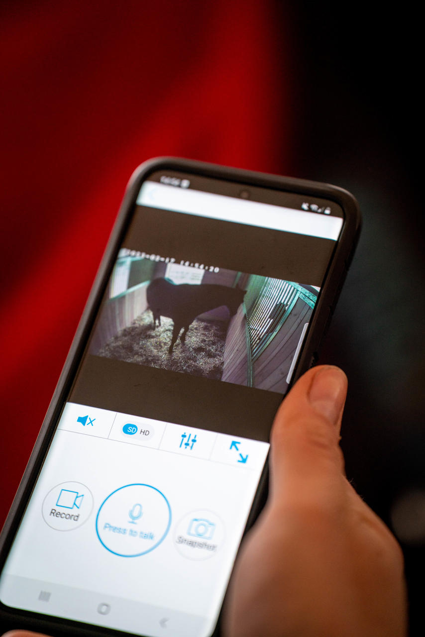 Kerbl SmartCam HD