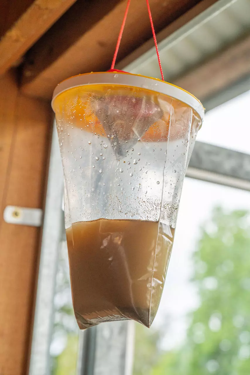 REDTOP Fliegenfalle , Größe L, 3 Liter