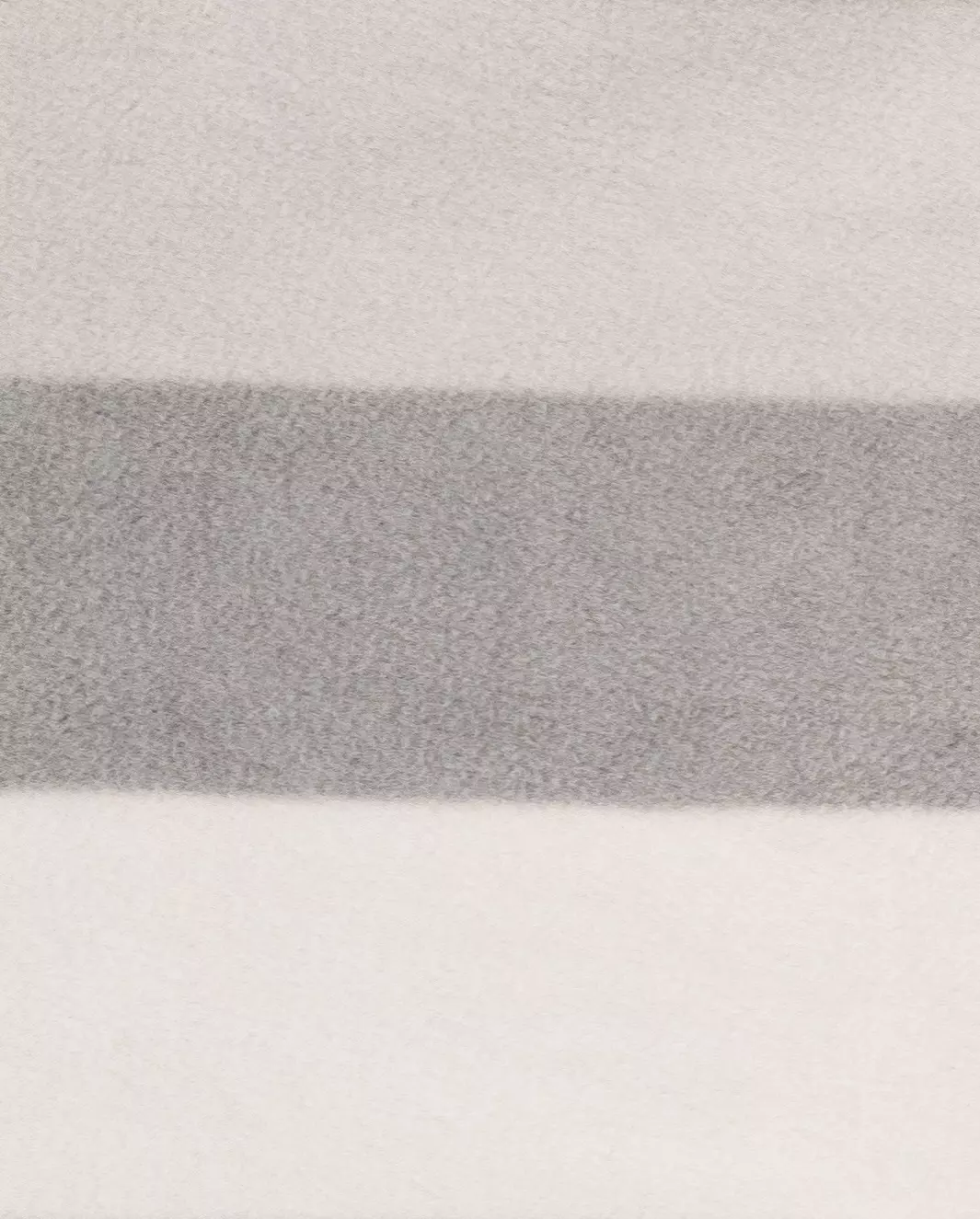 witney charcoal