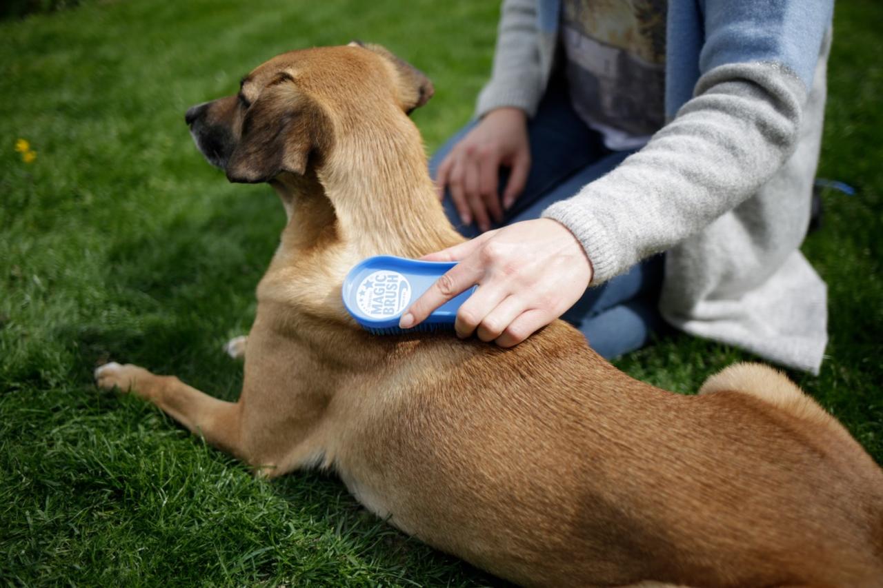 MagicBrush Bürste für Hunde