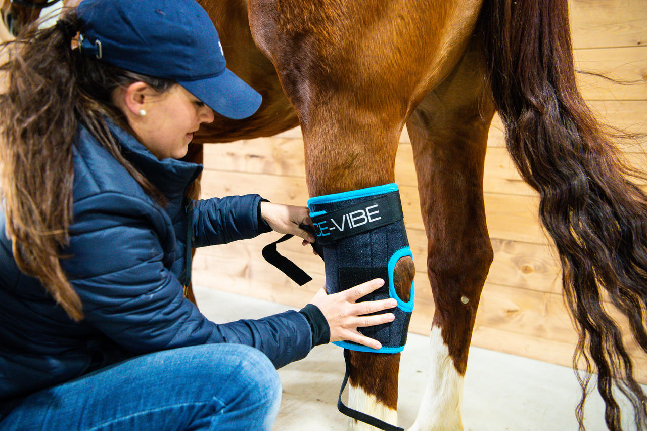 Horseware Ice-Vibe® Hock Wrap