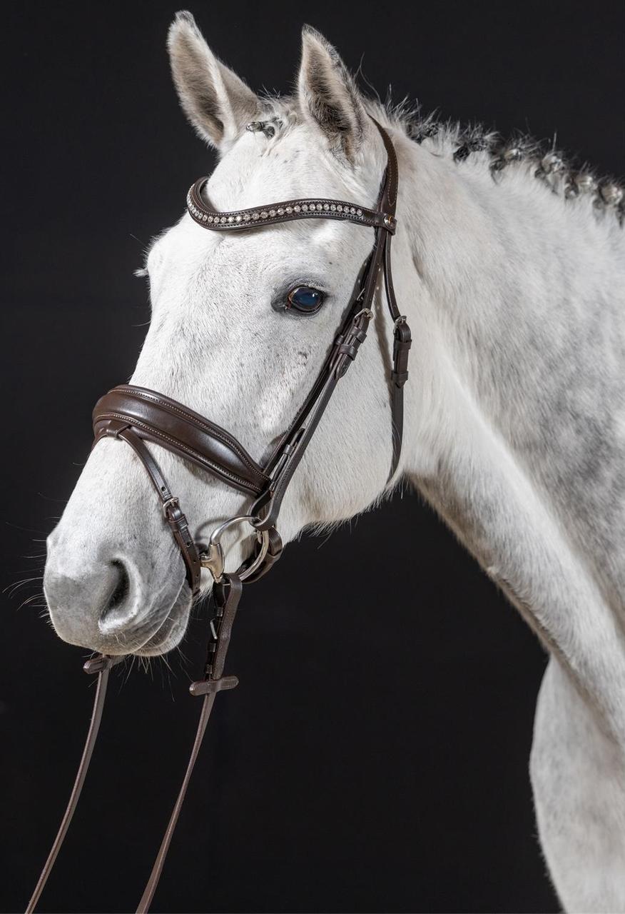 Hans Melzer Snaffle Wiesbaden Comfort Pettine svedese.