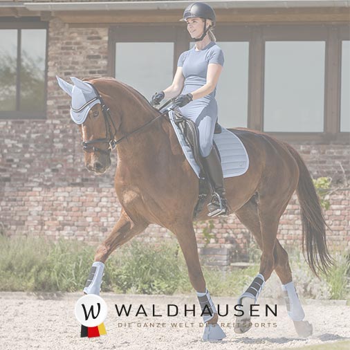 sommersale_waldhausen