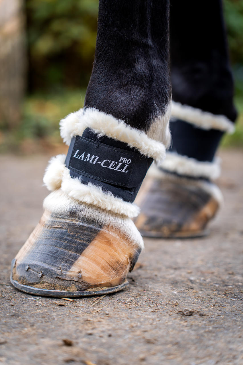 LAMI-CELL COMFORT Protezione per grilli da formazione, set di 2