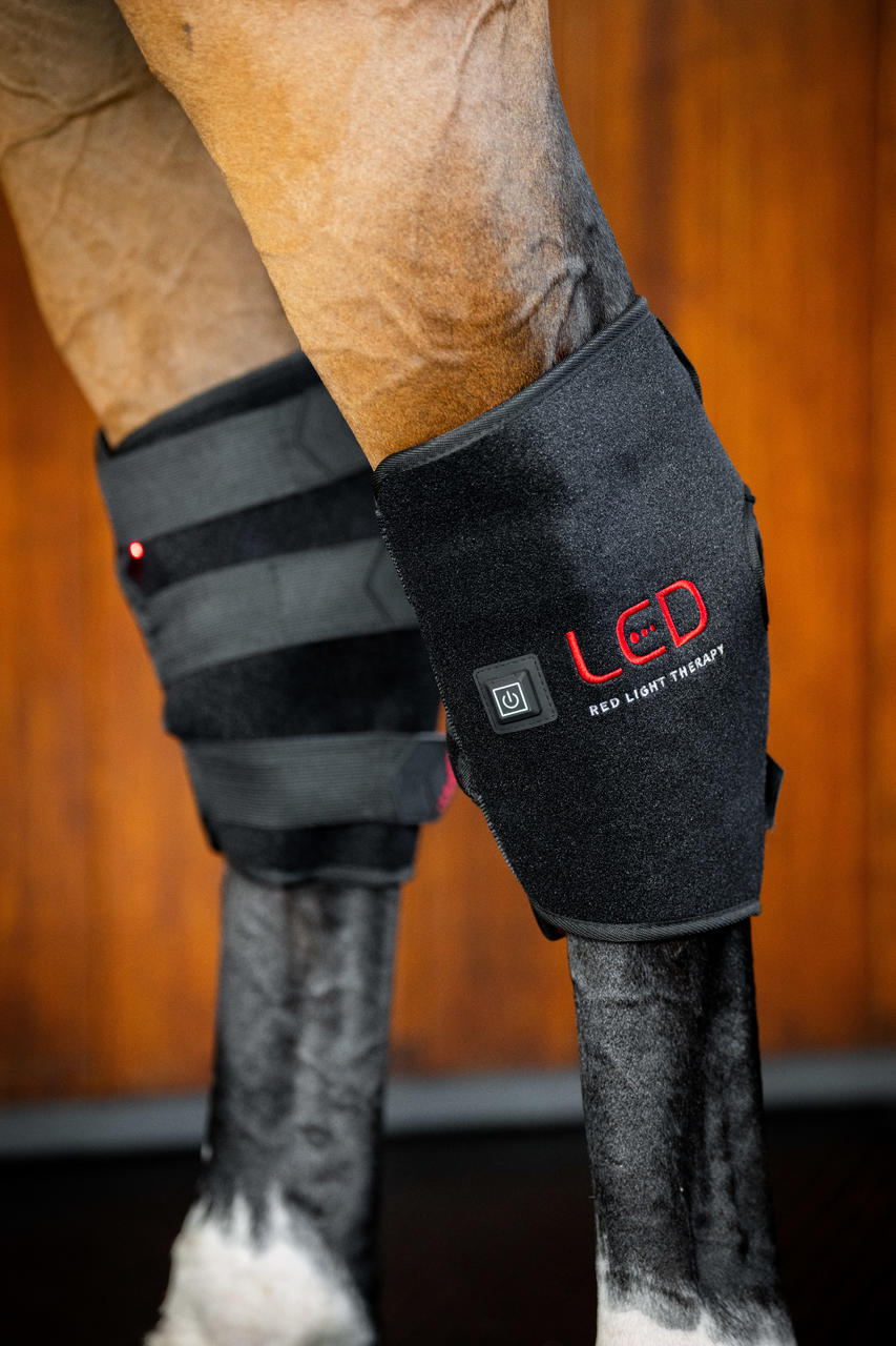 Horseware LED Red Light Therapy Hock Boot