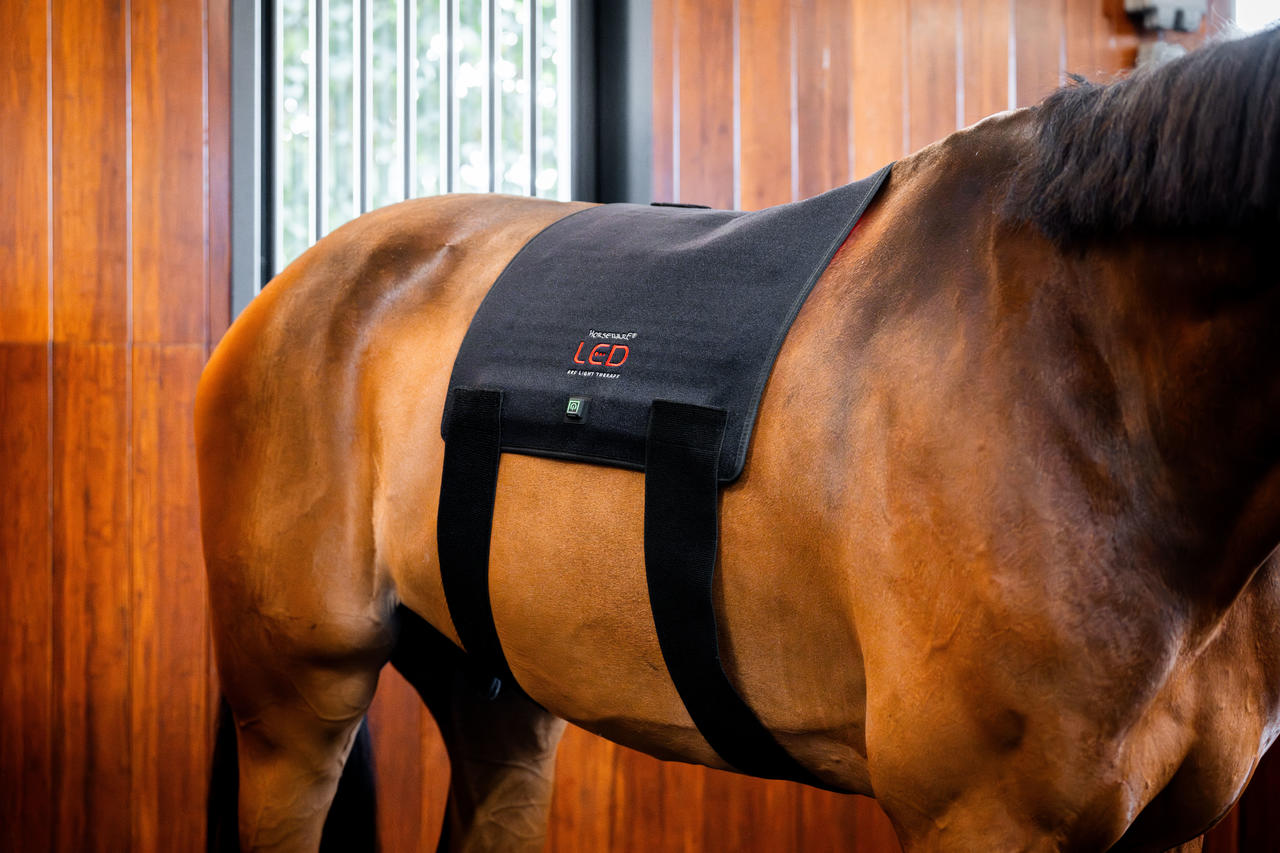 Horseware Cuscinetto per terapia a luce rossa LED
