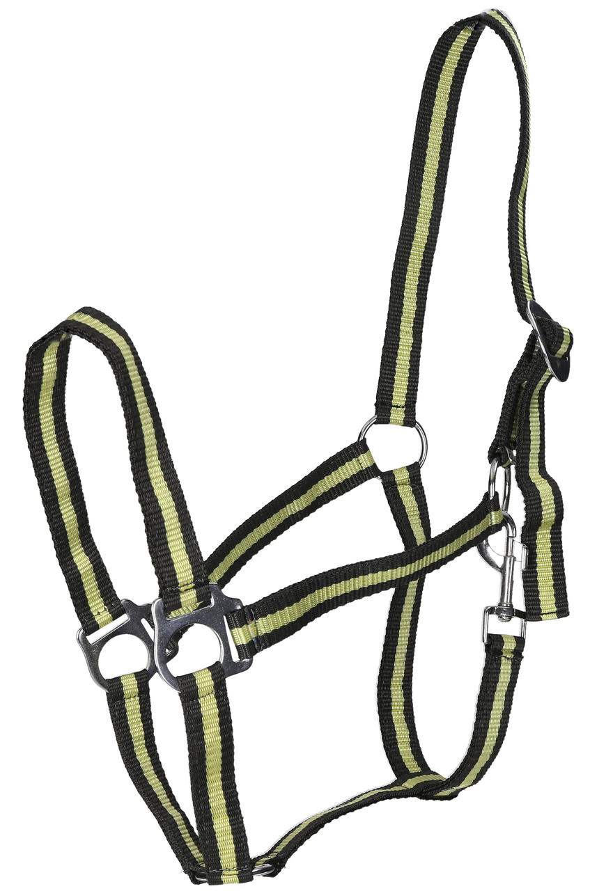 WAHL-Hausmarke HoldMe Halfter