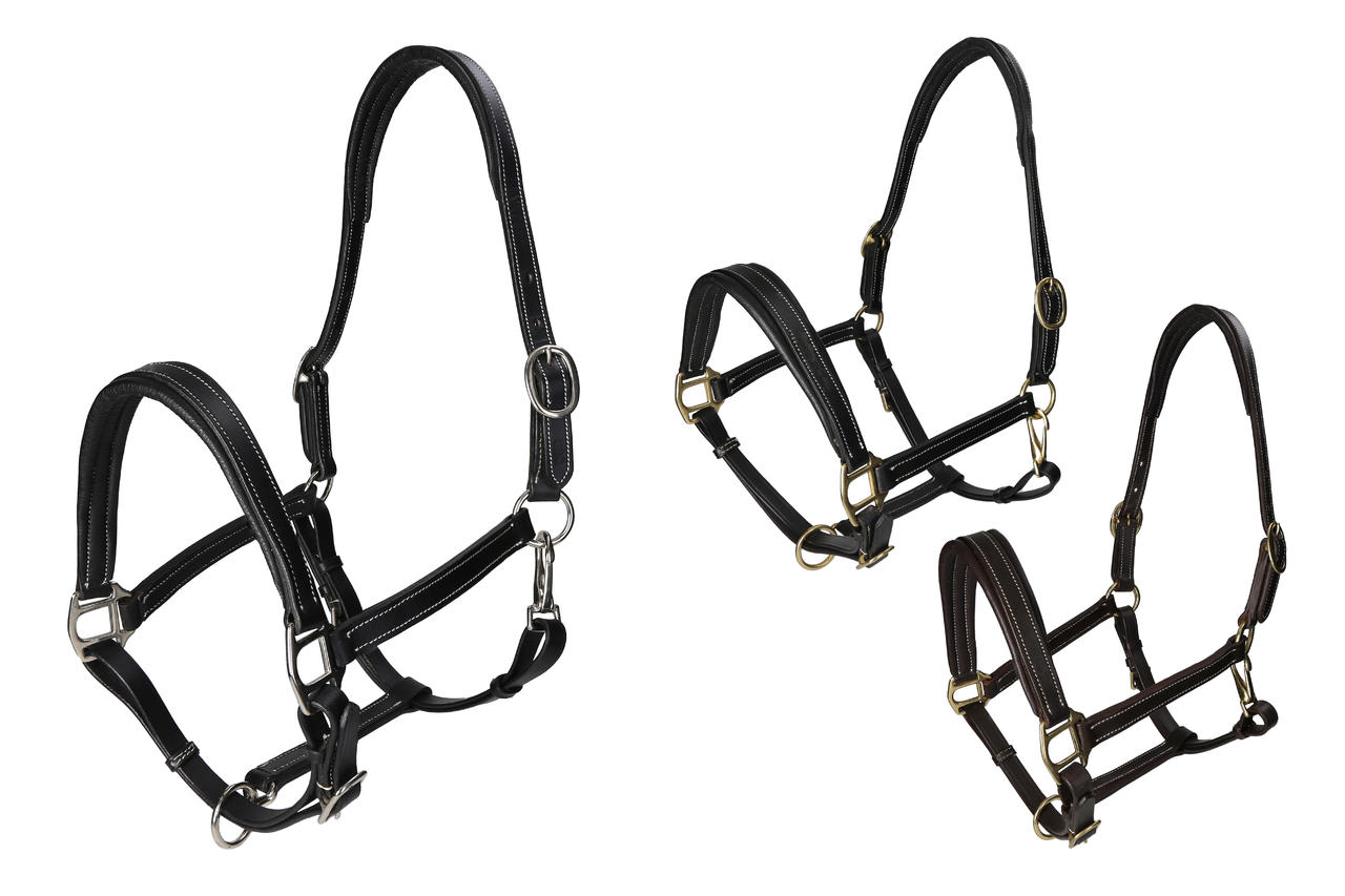 WAHL-Hausmarke TenderMe Lederhalfter