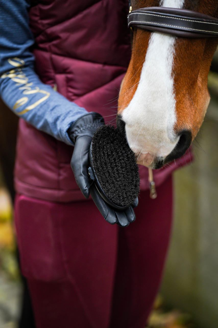 Leistner Spazzola per testa del cavallo 134x67 mm