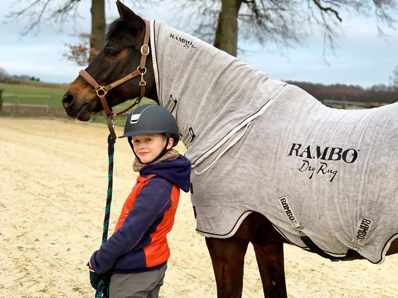 Horseware Rambo Dry Rug