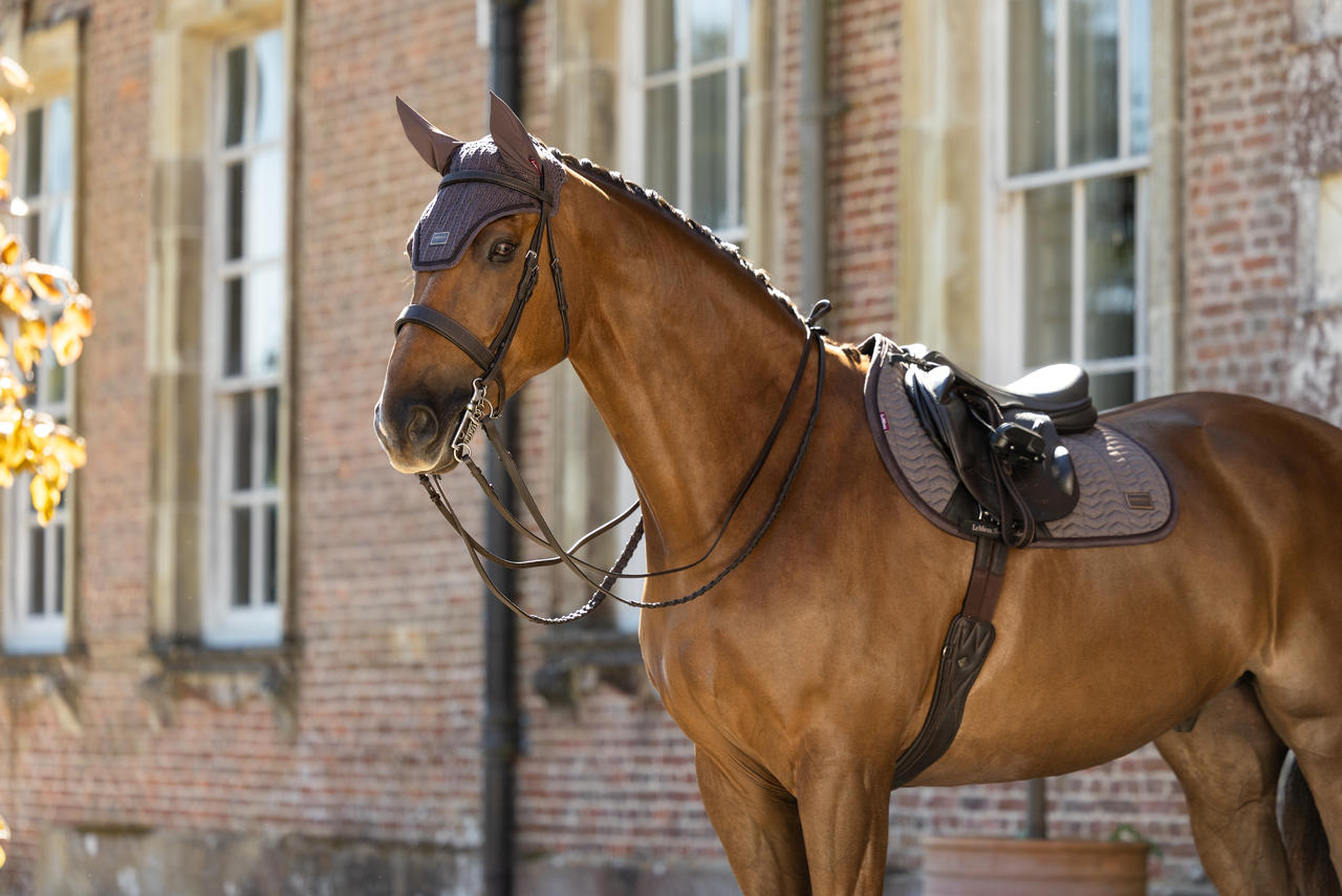 LeMieux Heritage Fliegenhaube