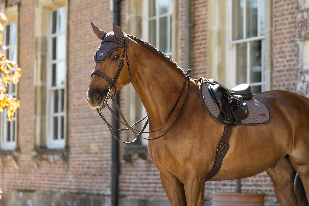 LeMieux Heritage Fliegenhaube