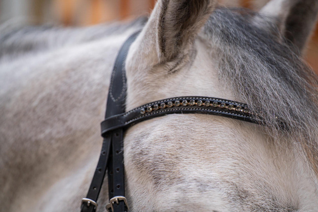 Hans Melzer Snaffle Badminton