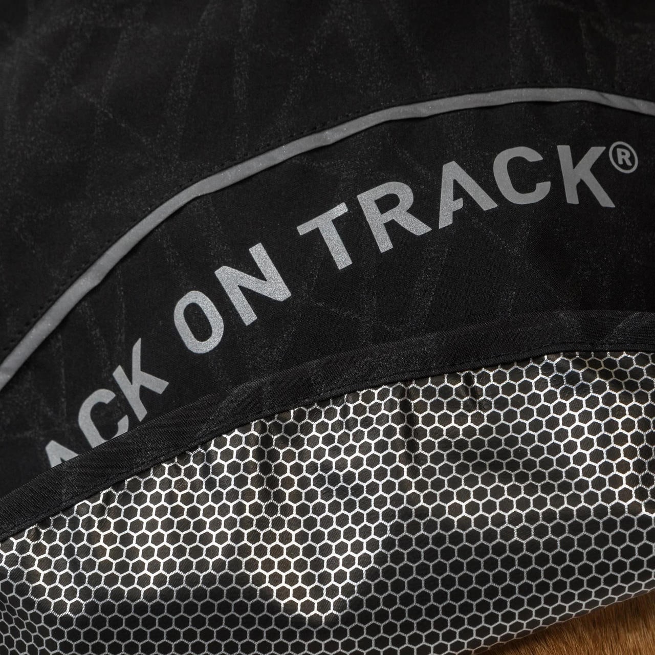 Back on Track BAY Regenmantel für Hunde, Hightail